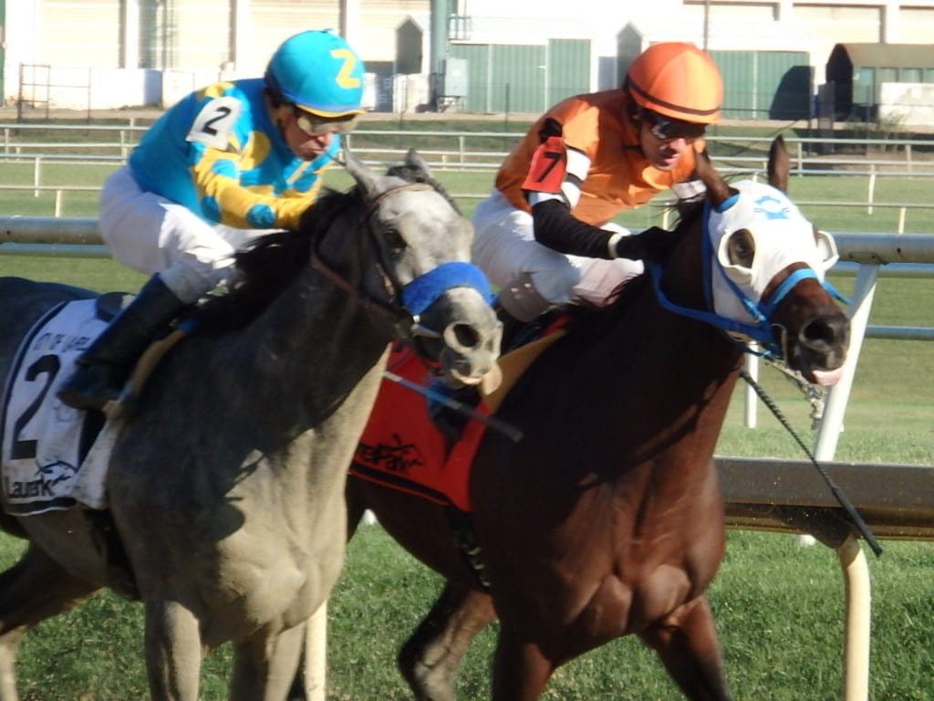 El Kabeir (#2) had the longest nose and won the City of Laurel Stakes in a three-horse photo over Roxbury N Overton (inside) and Duff (not pictured). Photo by The Racing Biz.