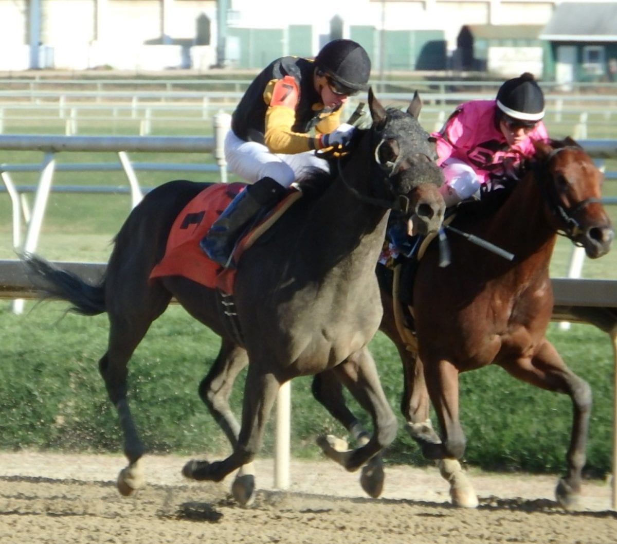 Laurel Park card features $58,000 carryover