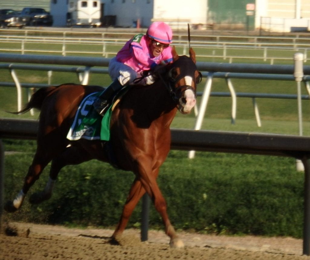 Hot City Girl devastated her rivals in today's Safely Kept at Laurel Park. Photo by The Racing Biz.