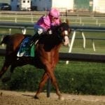 Page McKenney dominates in Richard Small