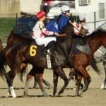 Weekend’s Midlantic stakes winners