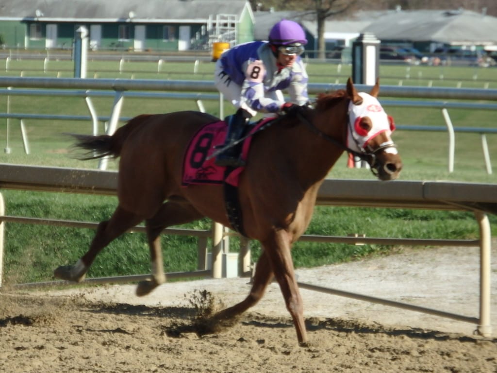 Page McKenney was much the best in a dominant score in the Richard W. Small Stakes at Laurel Park. Photo by The Racing Biz.