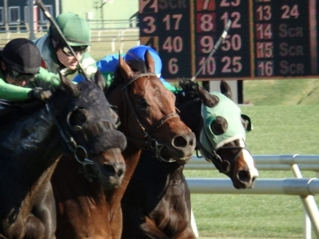 Heads apart. Photo by The Racing Biz.