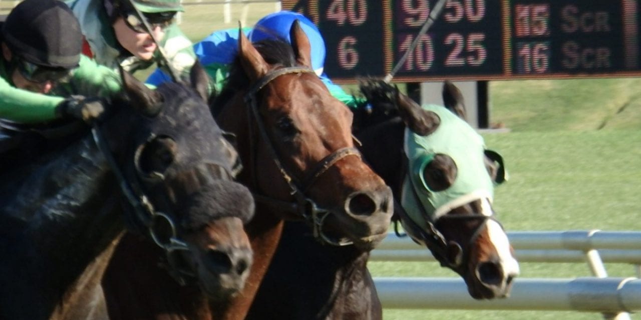 Laurel Park Thanksgiving gallery