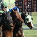 Penn National: Stars arrive, and one is born