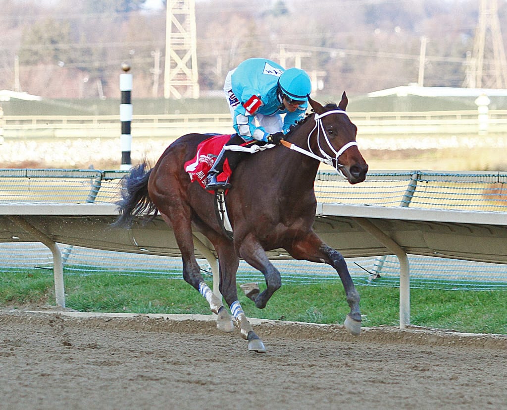 Bird of Trey was much the best in winning the Pennsylvania Nursery Stakes at Parx Racing.