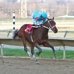 For Ben’s Cat, horse cookies, and more racing
