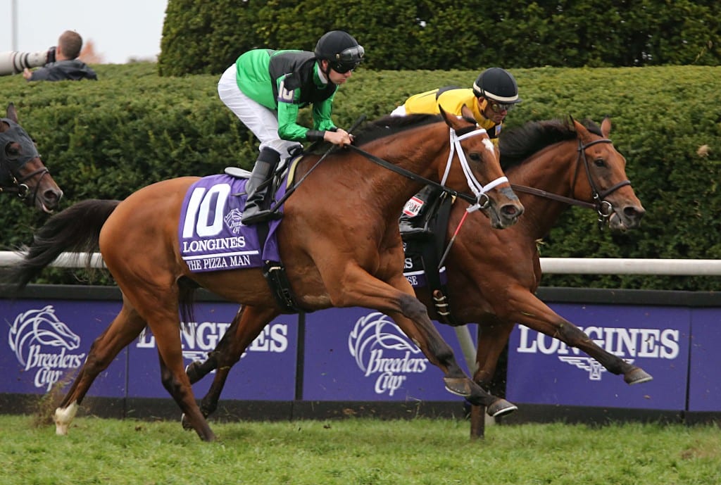 The Pizza Man runs in this year's Breeders' Cup Turf. Photo by Thomas Allen Pauly.