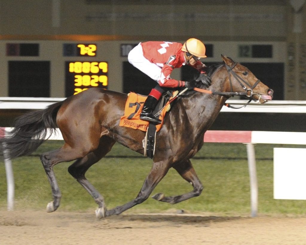 Behrnik's Bank was awfully lonely in the Blue Mountain Juvenile Fillies, winning by 13. Photo by B & D Photography.