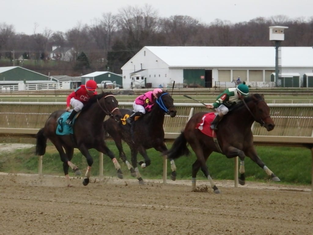 Always Sunshine (#1) enjoyed a perfect trip en route to winning the Dave's Friend. Photo by The Racing Biz.