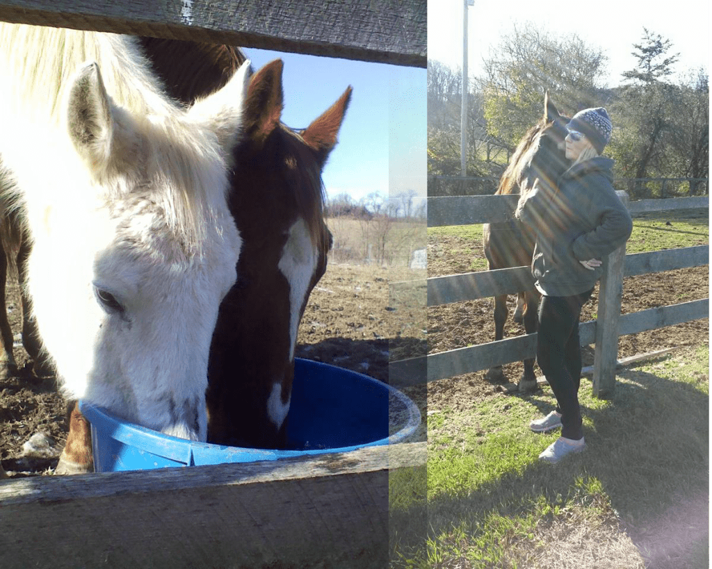 Scenes from Angel Acres: left, two rescuees share water. Right, Jo Deibel and Deacon share a moment. Photos courtesy of Jo Deibel/Angel Acres.