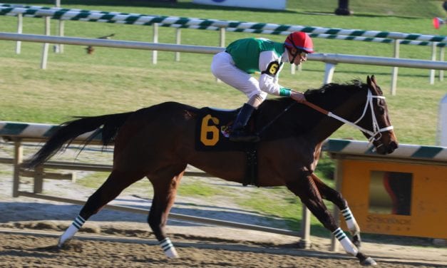 Cathryn Sophia tabbed as Md-bred Horse of the Year