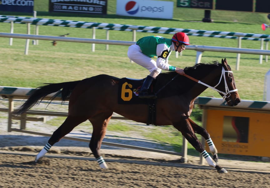 Cathryn Sophia blitzed the field in the Gin Talking Stakes. Photo by Laurie Asseo.