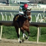 Lane Luzzi lands first win
