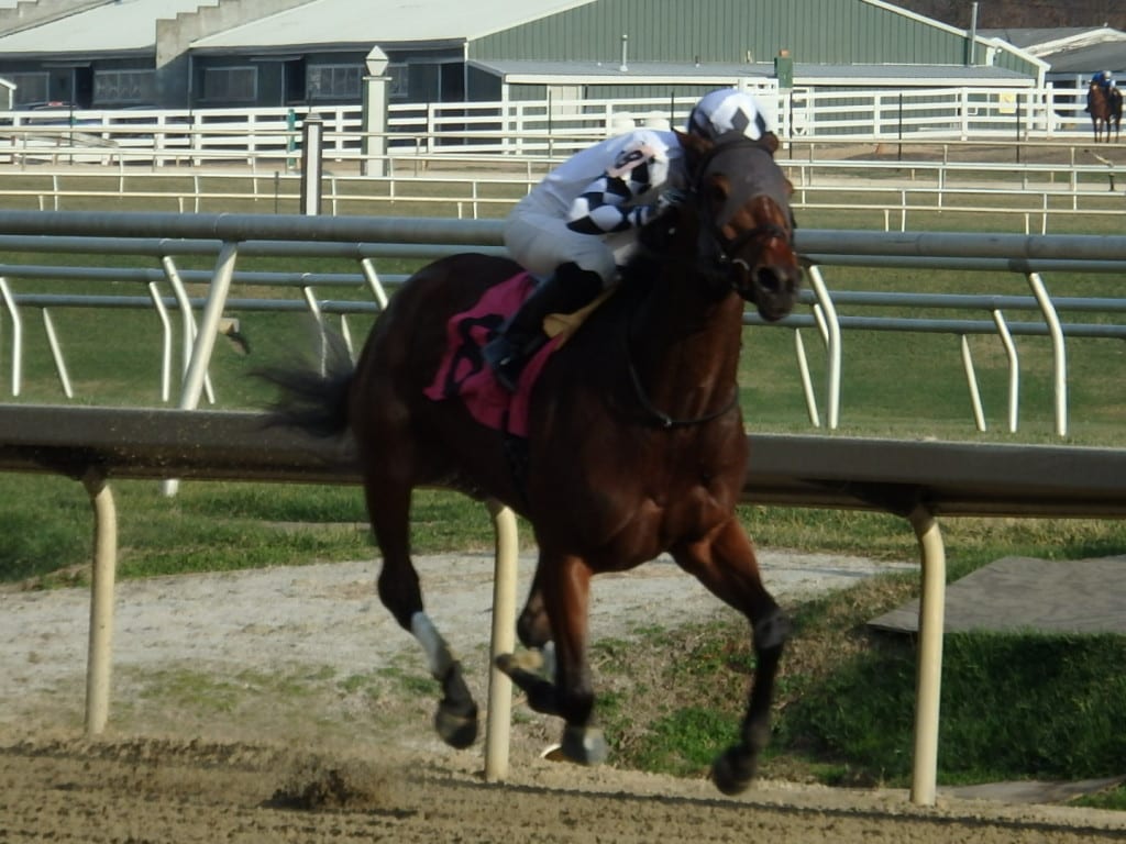 Hold On Momma looked good in winning at first asking at Laurel Park for owner DB Dojo (which is Bode Miller) and trainer Tres Abbott.