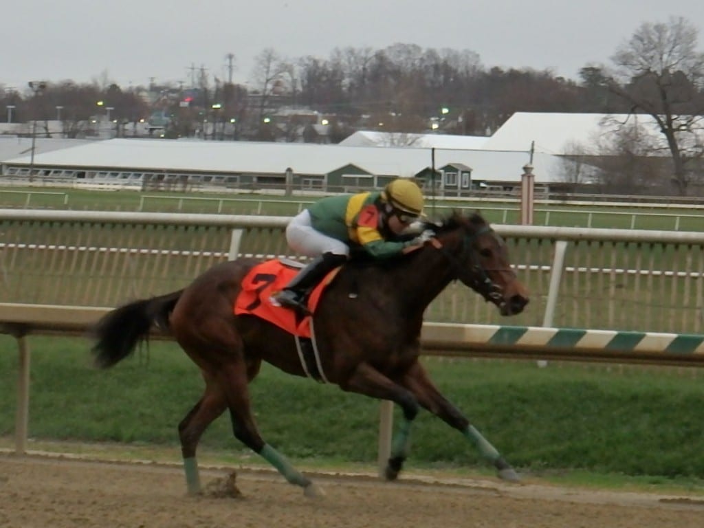 Look Who's Talking proved best in the Maryland Juvenile Championship. Photo by The Racing Biz.