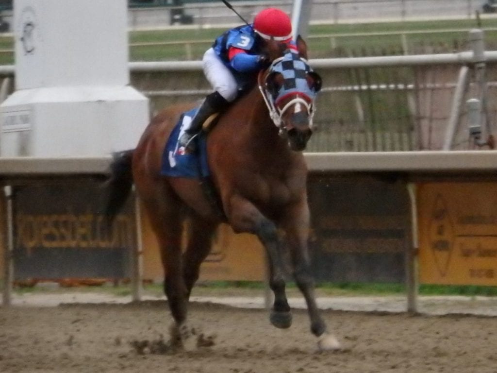 Noteworthy Peach was much the best in the Jennings Handicap. Photo by The Racing Biz.