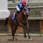 Equestricon: For the love of racing