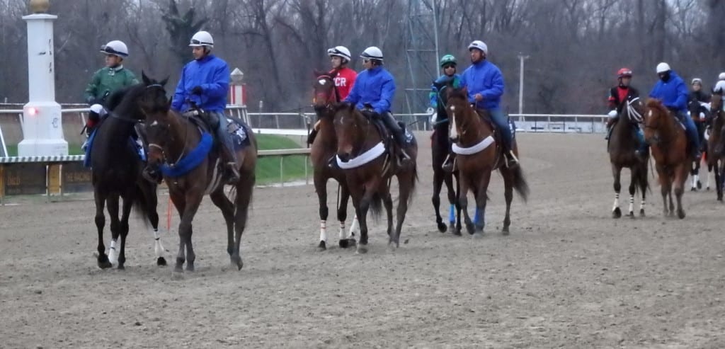 Post parade. Photo by The Racing Biz.