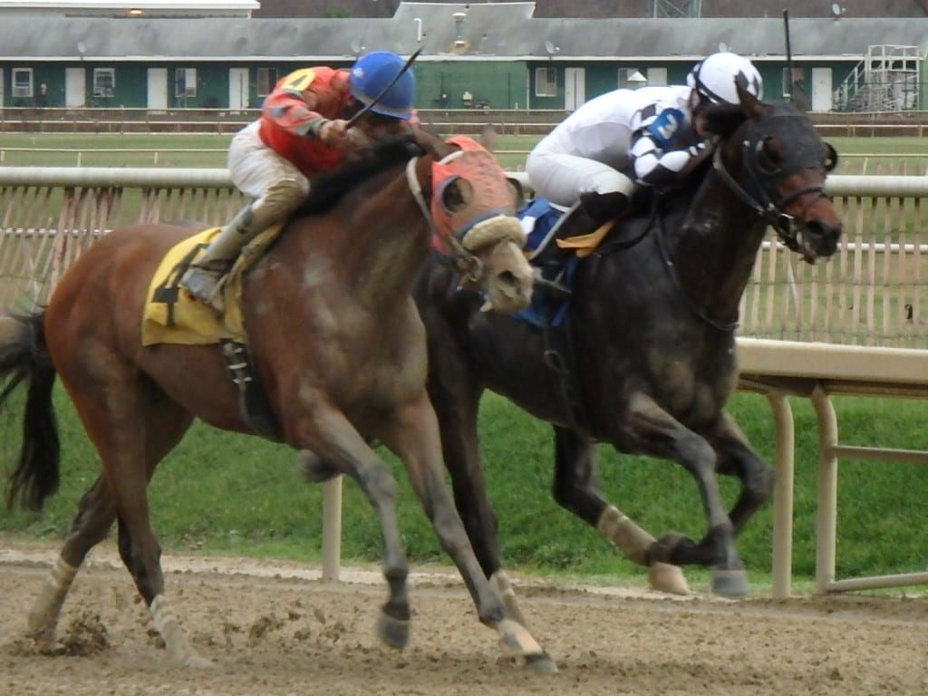 Ravenheart and Flash McCaul in the Maryland Juvenile Futurity. Photo by The Racing Biz.