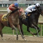 Laurel’s Rainbow 6 hit for $140k