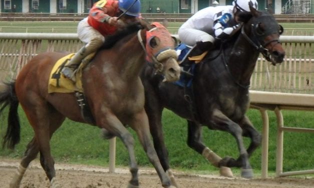 Ravenheart takes Maryland Juvenile Futurity