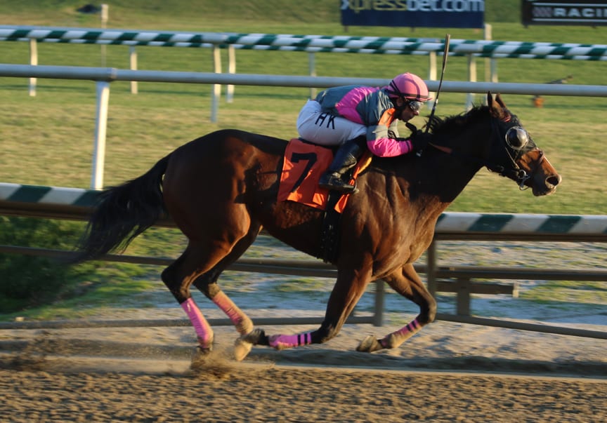 Lady Sabelia was a clear winner in today's Willa on the Move Stakes. Photo by Laurie Asseo.