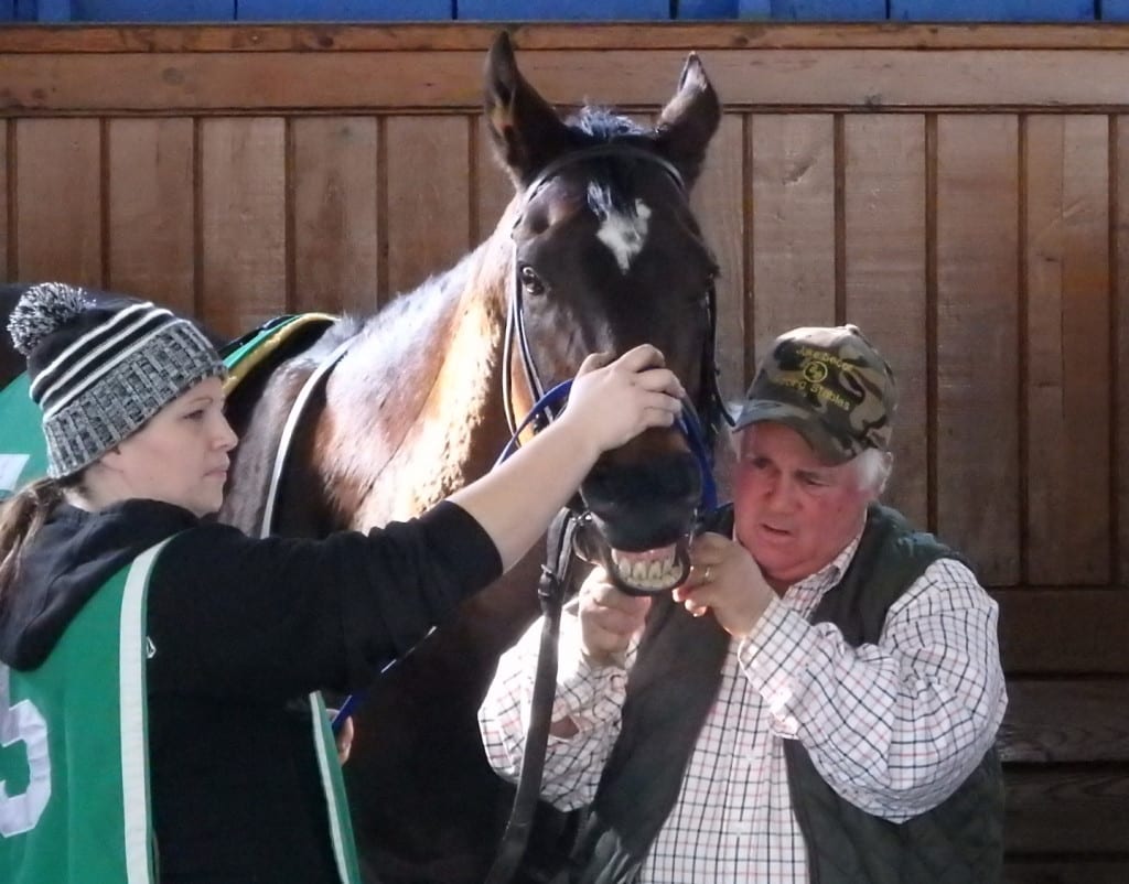 Trainer J.B. Secor readies Skeleton Crew for his final start. Photo by The Racing Biz.
