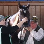 Analysis: Declining buybacks at Fasig-Tipton