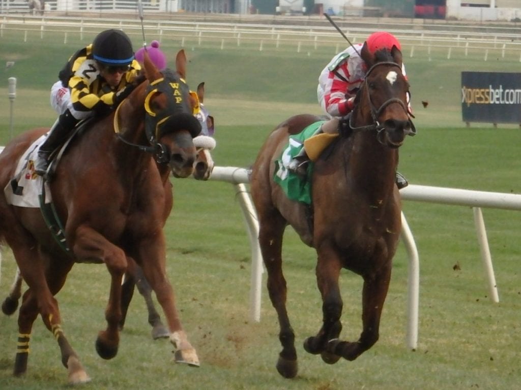 Skeleton Crew (right) finished fifth in his final start. Photo by The Racing Biz.