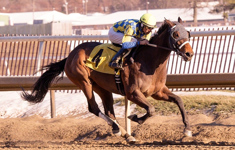 Slots, stability fuel Maryland breeding rise