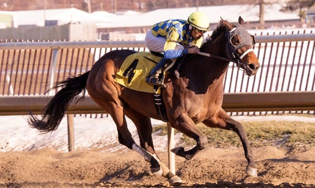 Slots, stability fuel Maryland breeding rise