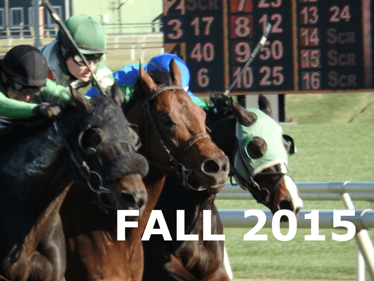 Year in pictures: Fall 2015