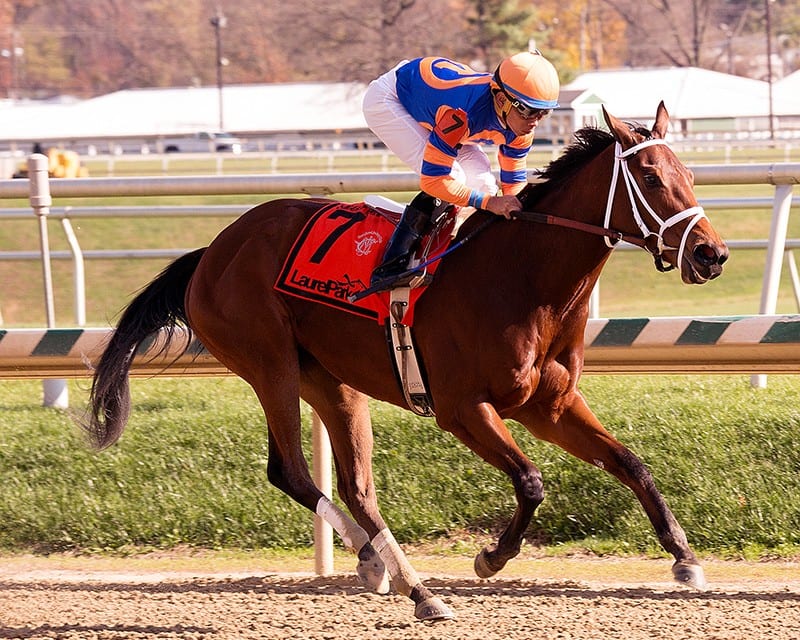 Todd Pletcher aims two at Marshua Stakes