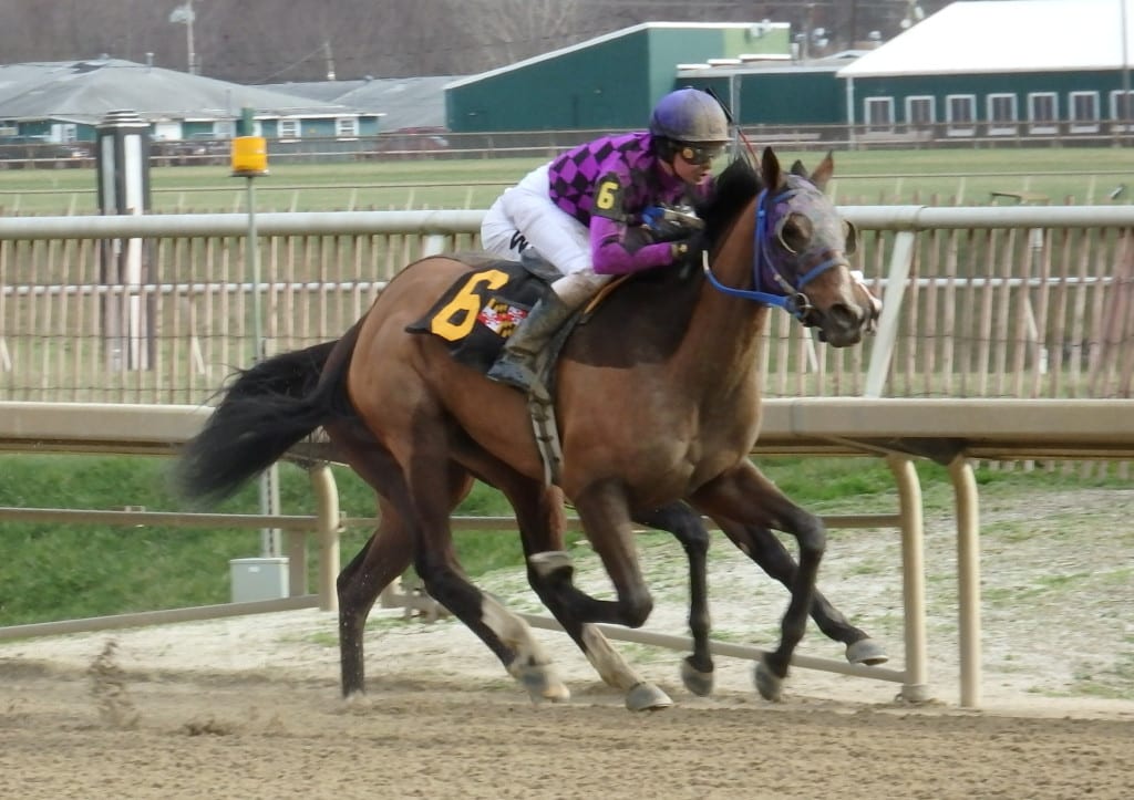 Eric Camacho guided Andiemac to a win on January 1 at Laurel Park. Photo by The Racing Biz.