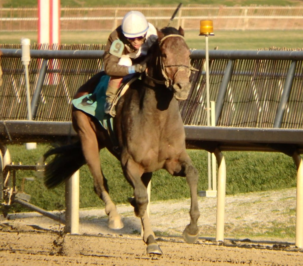Charmed Victory surged to a six-length win against allowance foes at Laurel Park. Photo by The Racing Biz.