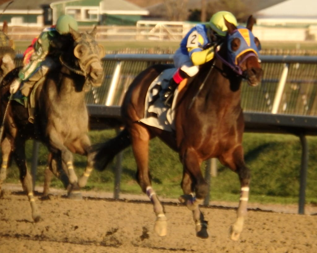 Nik Juarez and Escrow Kid - January 11, 2016. Photo by The Racing Biz.