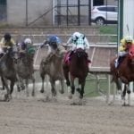 Royal Artillery, Almasty join Pin Oak Lane stallion roster