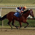 Hopes high on eve of bolstered Timonium meet
