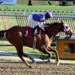 Spa Diary: “Pretty cool” Midlantic stories converge with Call Paul