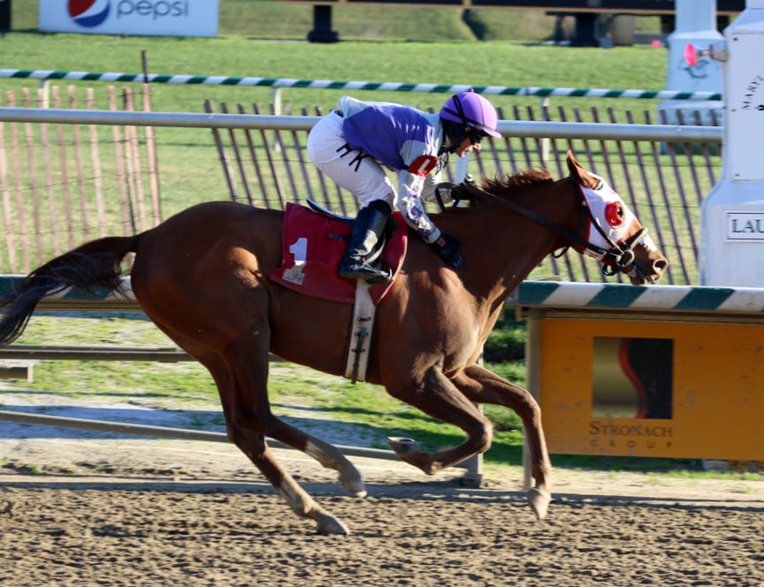 Page McKenney romped home in the Native Dancer to become a millionaire. Photo by Laurie Asseo.