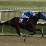 West Virginia-breds hit the ground running in ’17