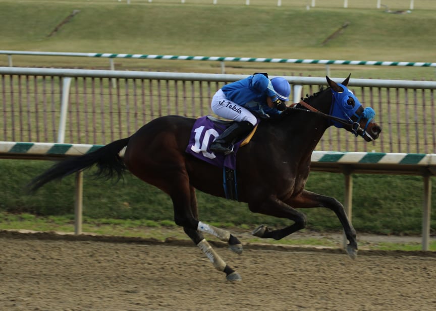 Sonny Inspired took the Fire Plug Stakes at Laurel Park. Photo by Laurie Asseo.