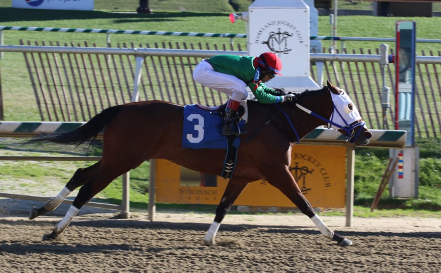 Sweet On Smokey won the What A Summer Stakes at Laurel Park by a couple lengths on January 2. Photo by Laurie Asseo.