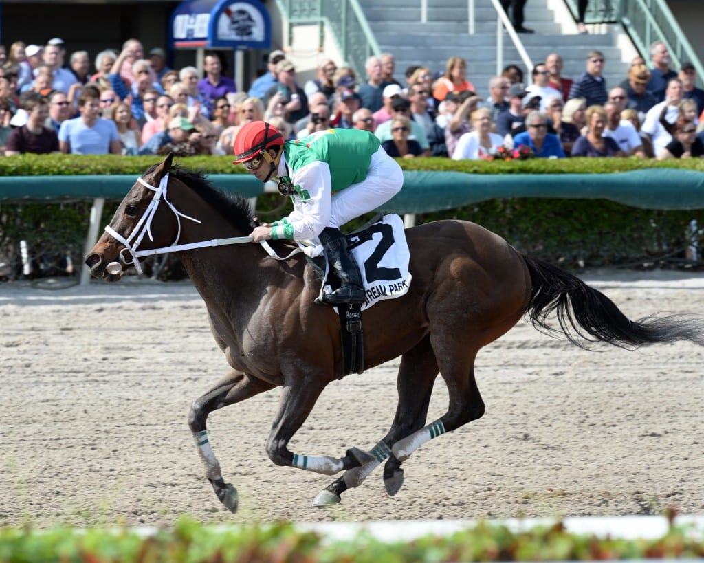 Cathryn Sophia dazzled in winning the Forward Gal Saturday at Laurel Park. Photo by Lauren King.