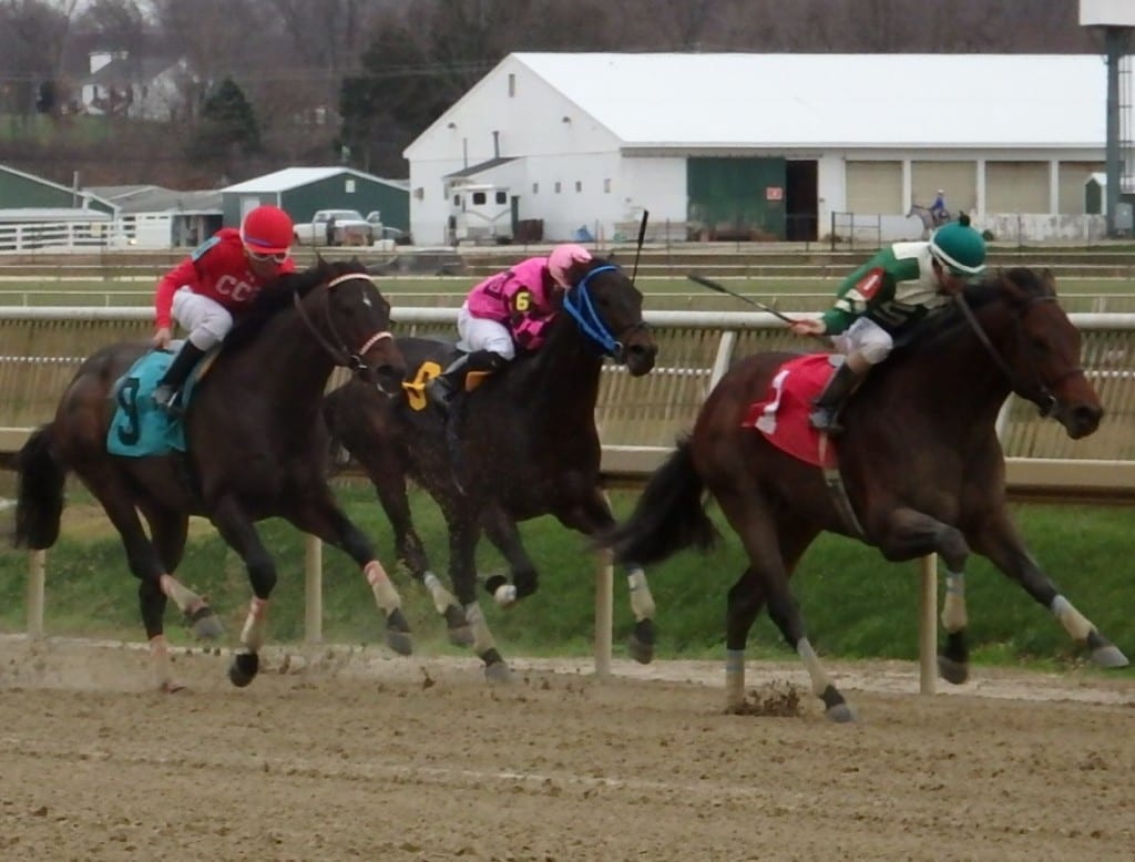 Majestic Hussar (#9) ran second in the Dave's Friend Stakes at Laurel Park in December. Photo by The Racing Biz.