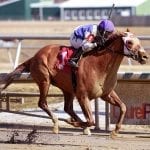 Sonny Inspired looks for two straight stakes scores