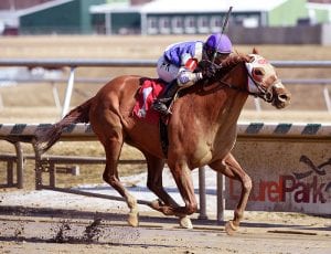 Page Mckenney3-21(1)