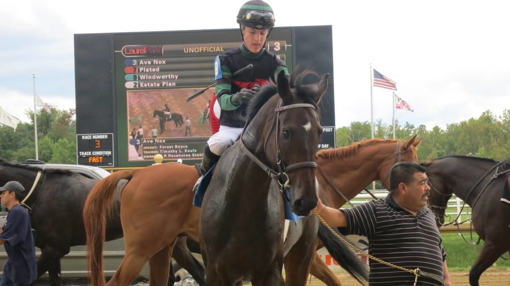 Ave Nox returns following his maiden-breaking win. Photo Sean Kerr.