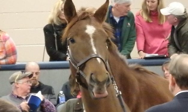 Fasig-Tipton Midlantic fall yearling sale by the numbers